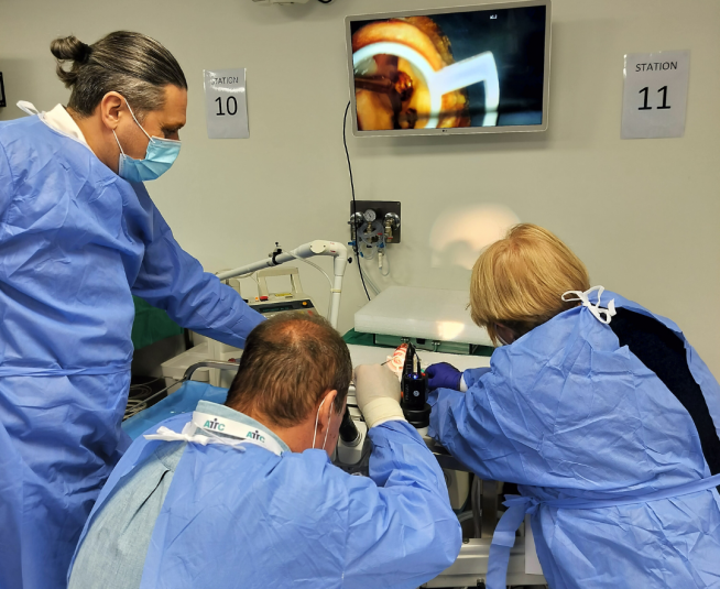 Phonosurgery & LASER Laryngeal Course