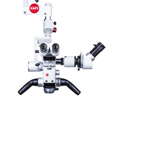 ΣΥΜΠΑΡΑΤΗΡΗΤΗΣ